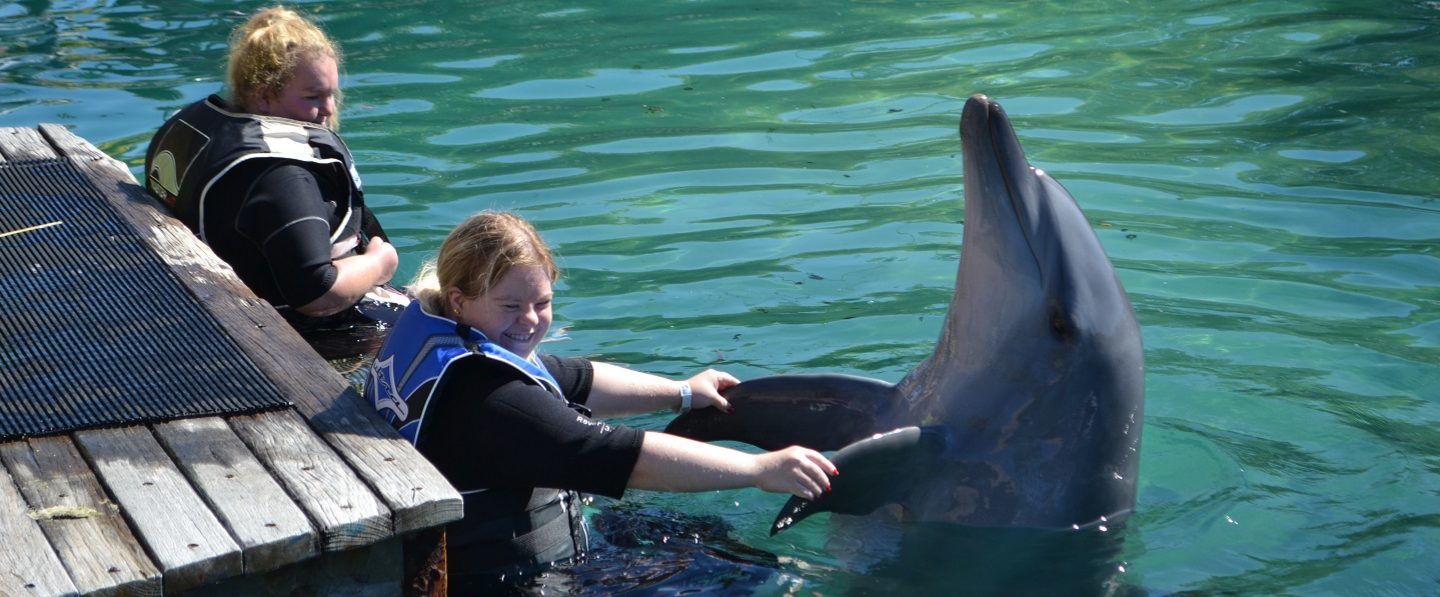 Friends Going Places